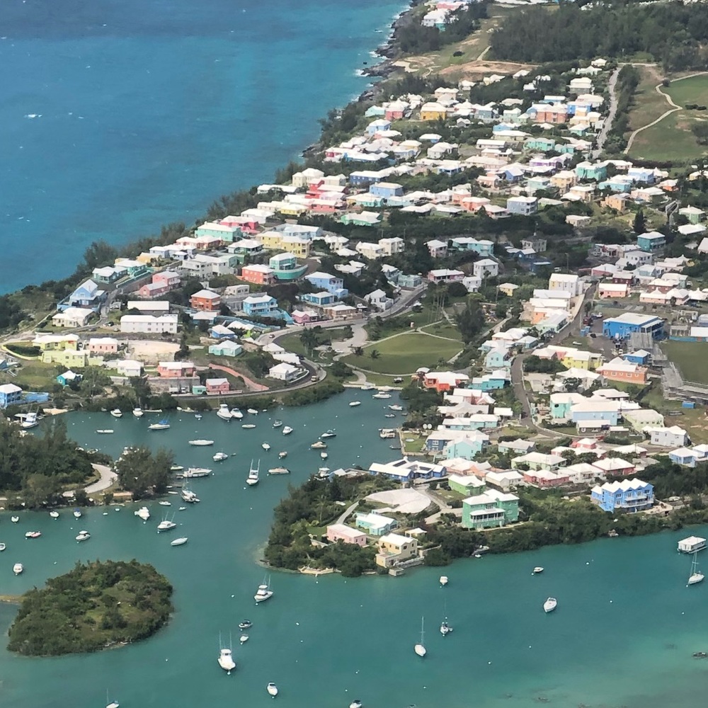 Meet your Posher, Arielle